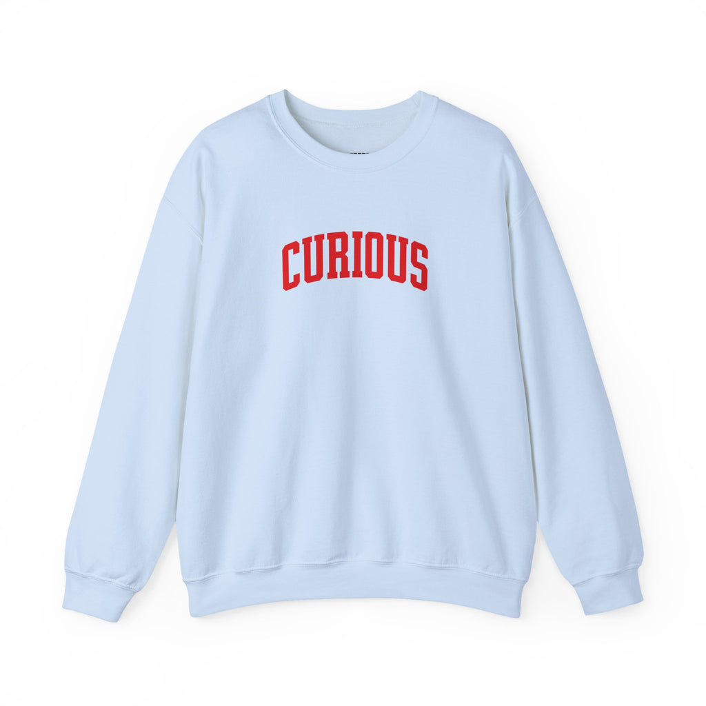 Curious Sweatshirt
