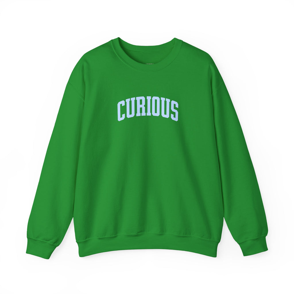 Curious Sweatshirt