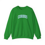 Curious Sweatshirt